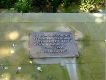 Zdjęcie Kamiennej płyty z tablicą na cmentarzu żydowskim w Jasienicy Rosielnej